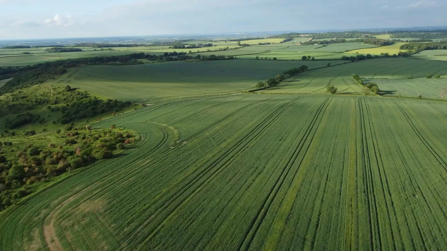 A green field in the countryside